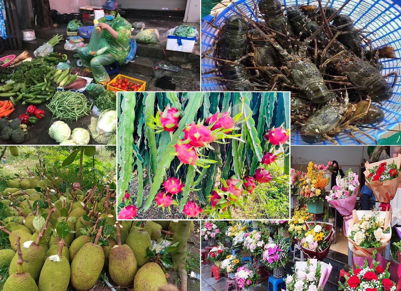 Ti&#xEA;u d&#xF9;ng trong tu&#x1EA7;n (16-22/10/2023): Gi&#xE1; rau t&#x103;ng g&#x1EA5;p &#x111;&#xF4;i, thanh long r&#x1EDB;t gi&#xE1; th&#xEA; th&#x1EA3;m